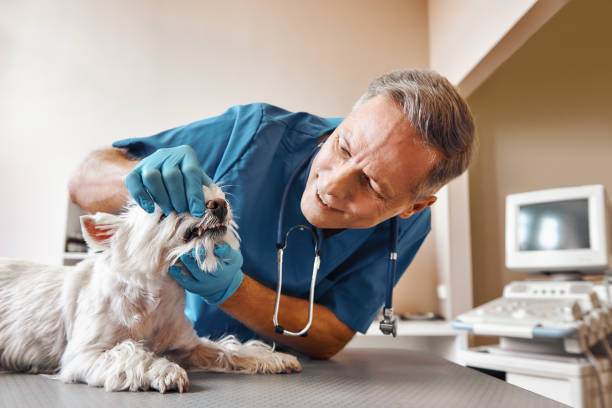 Best 24-Hour Emergency Dentist in Teays Valley, WV